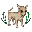 Dogs