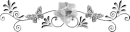 whiteflowerdivider