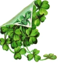 shamrocks