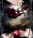 fall in love