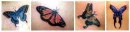 butterfly border