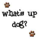 dog whats up
