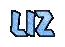 LIZ