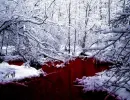 Blood River
