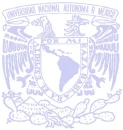unam