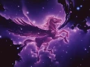 Pegasus Night