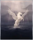 Pegasus At Sea