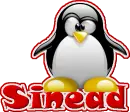 Sinead