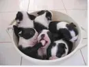 a cup of Joy!!