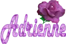 ~Adrienne Rose~