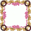 Clear