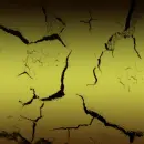 still-contest2