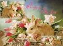 Happy Easter