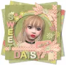 Sweet Daisy