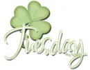tuesday