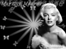 marilyn butterflies