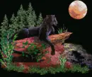 panther
