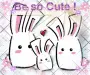 Cute Bunny