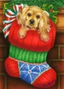 Christmas Pup