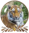 tiger globe