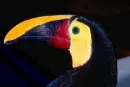 t10