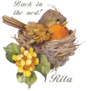 Back In Nest - Rita