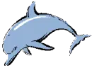 Blue Dolphins