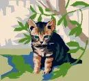 green and kitten