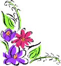 flower in the summer