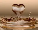 heart water drop
