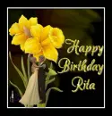 Happy Birthday Rita