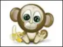 Lovely monkey