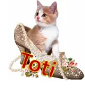 Toti