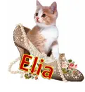 Elia