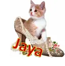 Jaya