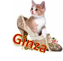 Ginza