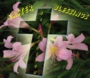 Easter Blessings