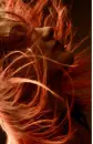 Hair