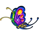 BUTTERFLYS