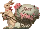 Easter Bunny - Jane