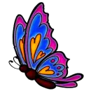 BUTTERFLYS
