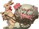 Easter Bunny - Maythe
