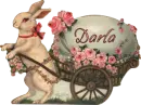 Easter Bunny - Darla