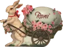 Easter Bunny - Roni