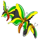 BUTTERFLYS