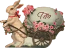 Easter Bunny - Tito