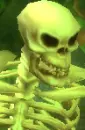 Skeleton