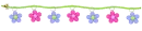 spring divider