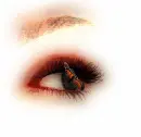 Eye
