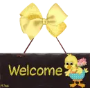 Welcome